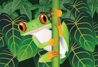 Puzzle Frog