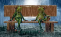 Пазл Лягушки и дождь
