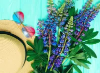 Puzzle Lupins and hat