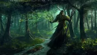 Zagadka Magician in the woods