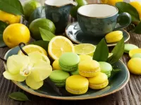 Jigsaw Puzzle Macarons and citruses
