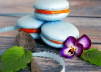 Jigsaw Puzzle Macaron and flower