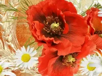 Jigsaw Puzzle Poppies