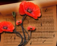 Slagalica Poppies and notes