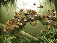 Puzzle Malenkie leopardi