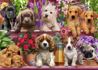 Jigsaw Puzzle Little puppies