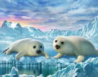 Пазл Маленькие тюлени