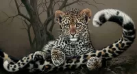 Пазл Маленький леопард