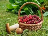 パズル Raspberries and mushrooms