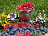 Rätsel Raspberry and blueberry