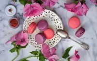 Jigsaw Puzzle Mallow and biscuits