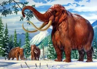 パズル Mammoths