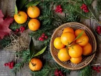 Rompecabezas Tangerines and fir