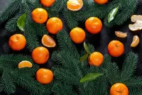 Jigsaw Puzzle Tangerines on the tree