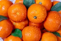 Bulmaca Tangerines in the water