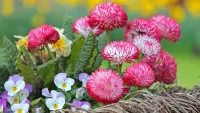 Jigsaw Puzzle Daisies in a basket