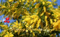 Jigsaw Puzzle March Mimosa