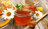 Slagalica honey