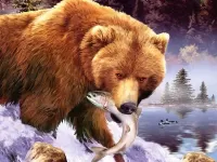 Zagadka Medved 1