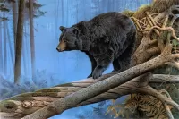 Пазл Медведь