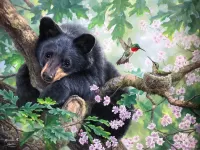 Puzzle Bear and birds