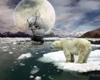 Zagadka Bear on an ice floe