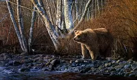 Слагалица Bear by the river