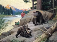 Rompecabezas Bears