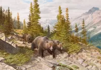 Jigsaw Puzzle Bears in the mountains