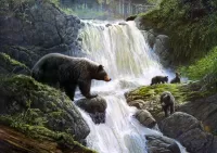 Rätsel Bear crossing