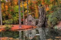 Bulmaca Mill in the forest