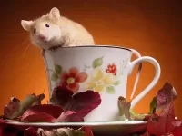 Пазл Мышь и чай