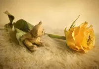 Quebra-cabeça Bear and rose