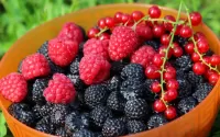 パズル Bowl with berries