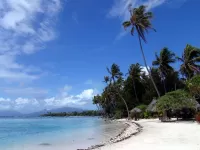 Пазл Море пляж пальмы