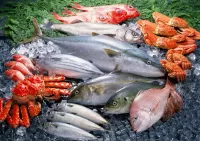 Rompecabezas Seafood