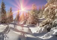 Zagadka Frost and sun