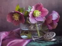 Jigsaw Puzzle Hellebore