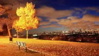 Слагалица Moscow autumn