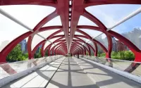 Zagadka bridge