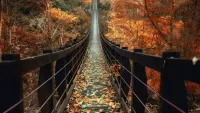 Jigsaw Puzzle Bridge over autumn