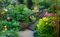 Puzzle Bridge in the garden