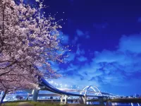 Quebra-cabeça Bridge in Japan