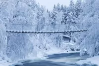 Пазл Мост зимой