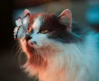 Jigsaw Puzzle Moth and cat