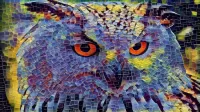 Puzzle Mosaic owl