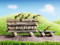パズル Ants are hardworking
