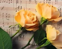 Jigsaw Puzzle Music and flowers