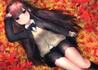 パズル On the carpet of leaves