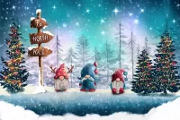 Jigsaw Puzzle To the North Pole